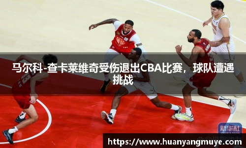 马尔科-查卡莱维奇受伤退出CBA比赛，球队遭遇挑战