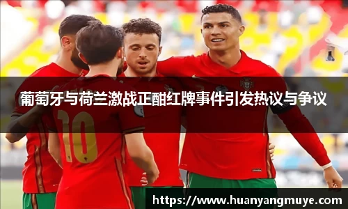 葡萄牙与荷兰激战正酣红牌事件引发热议与争议