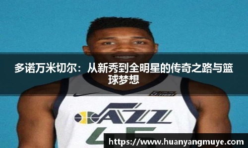 多诺万米切尔：从新秀到全明星的传奇之路与篮球梦想