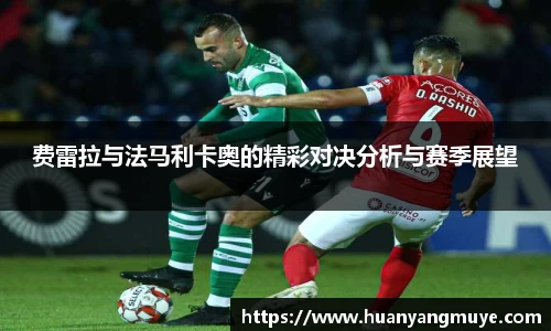 费雷拉与法马利卡奥的精彩对决分析与赛季展望
