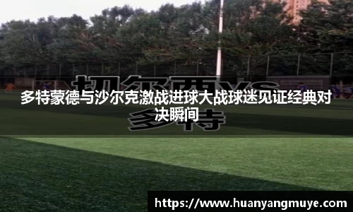 多特蒙德与沙尔克激战进球大战球迷见证经典对决瞬间